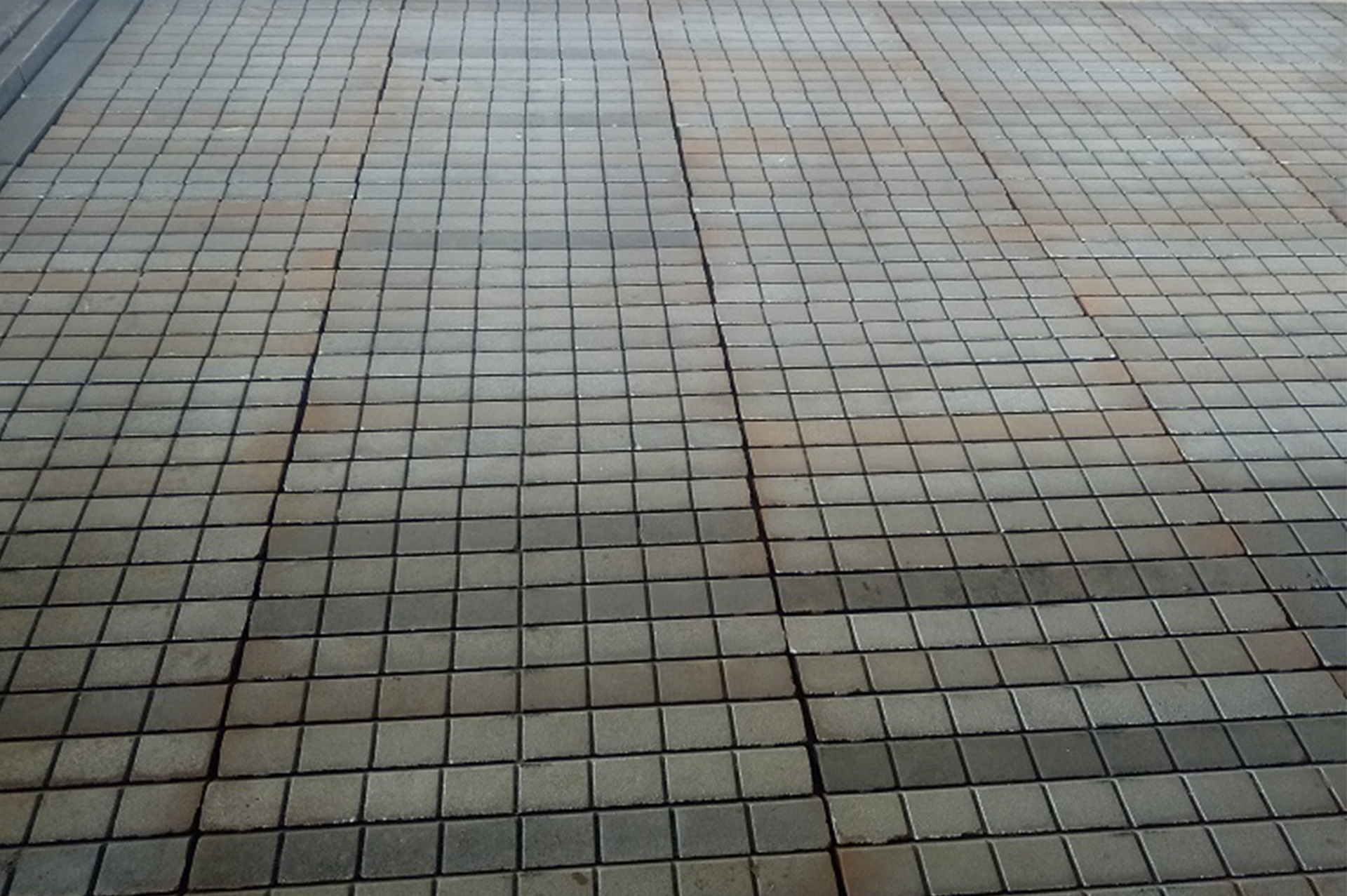 Ghi xích kiểu vảy 2t/h
